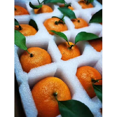 更多產(chǎn)品 (29) 